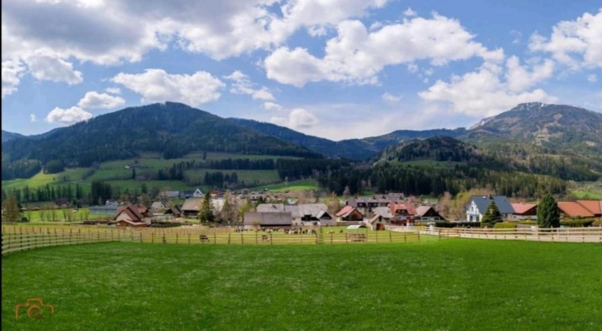 Alpakas, Lamas Und Rentiere Zum Gruenen See Grossdorf  외부 사진