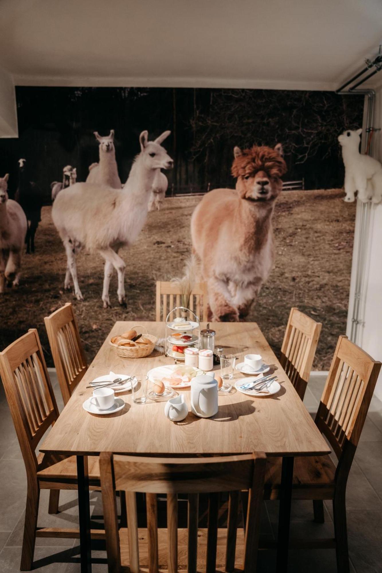 Alpakas, Lamas Und Rentiere Zum Gruenen See Grossdorf  외부 사진