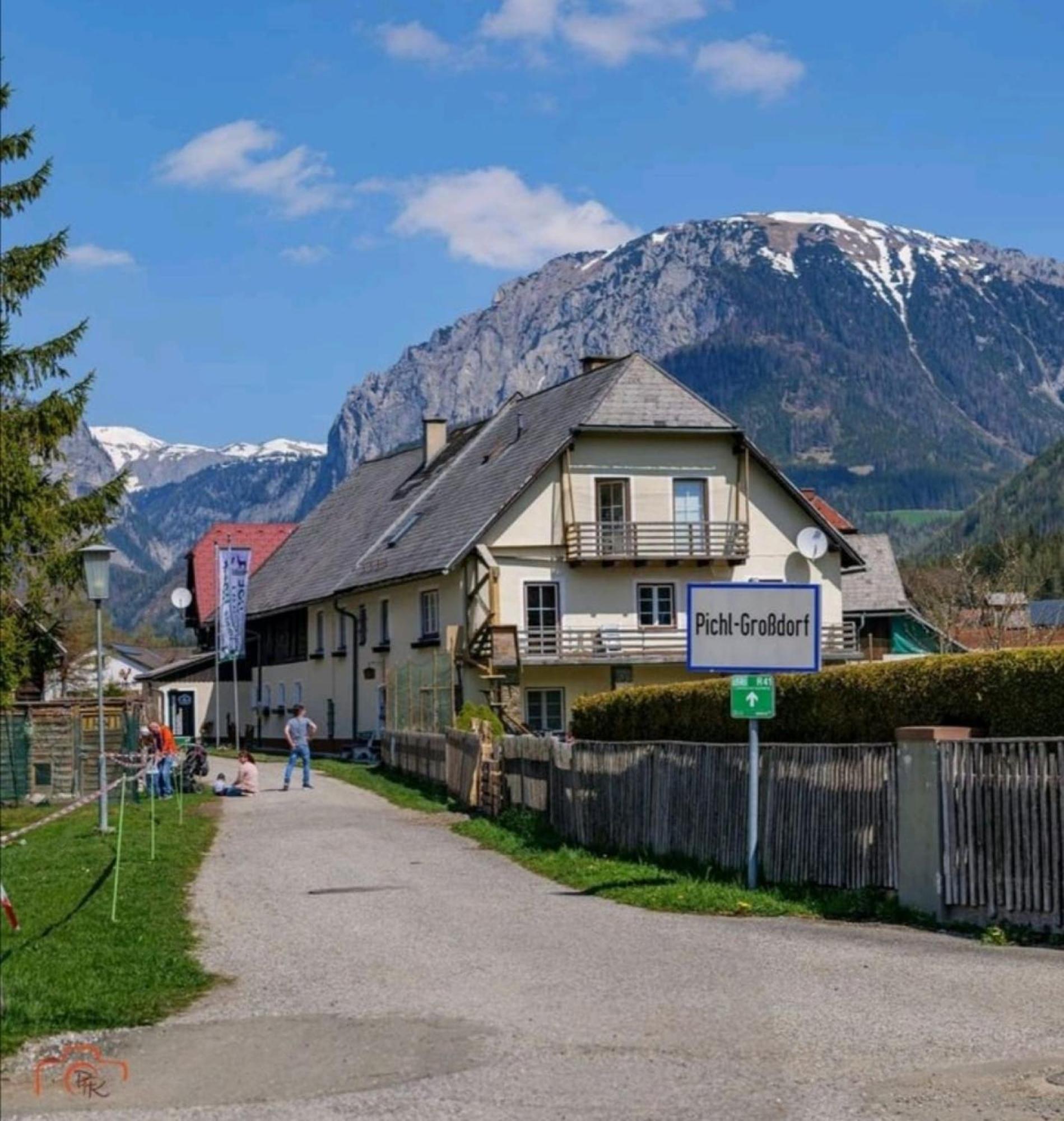 Alpakas, Lamas Und Rentiere Zum Gruenen See Grossdorf  외부 사진