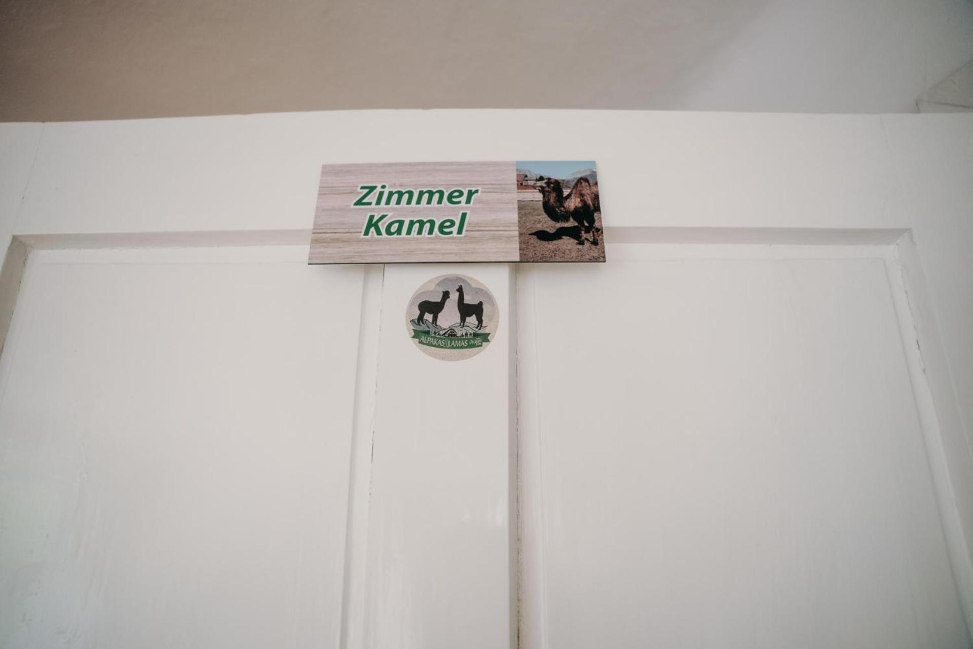 Alpakas, Lamas Und Rentiere Zum Gruenen See Grossdorf  외부 사진