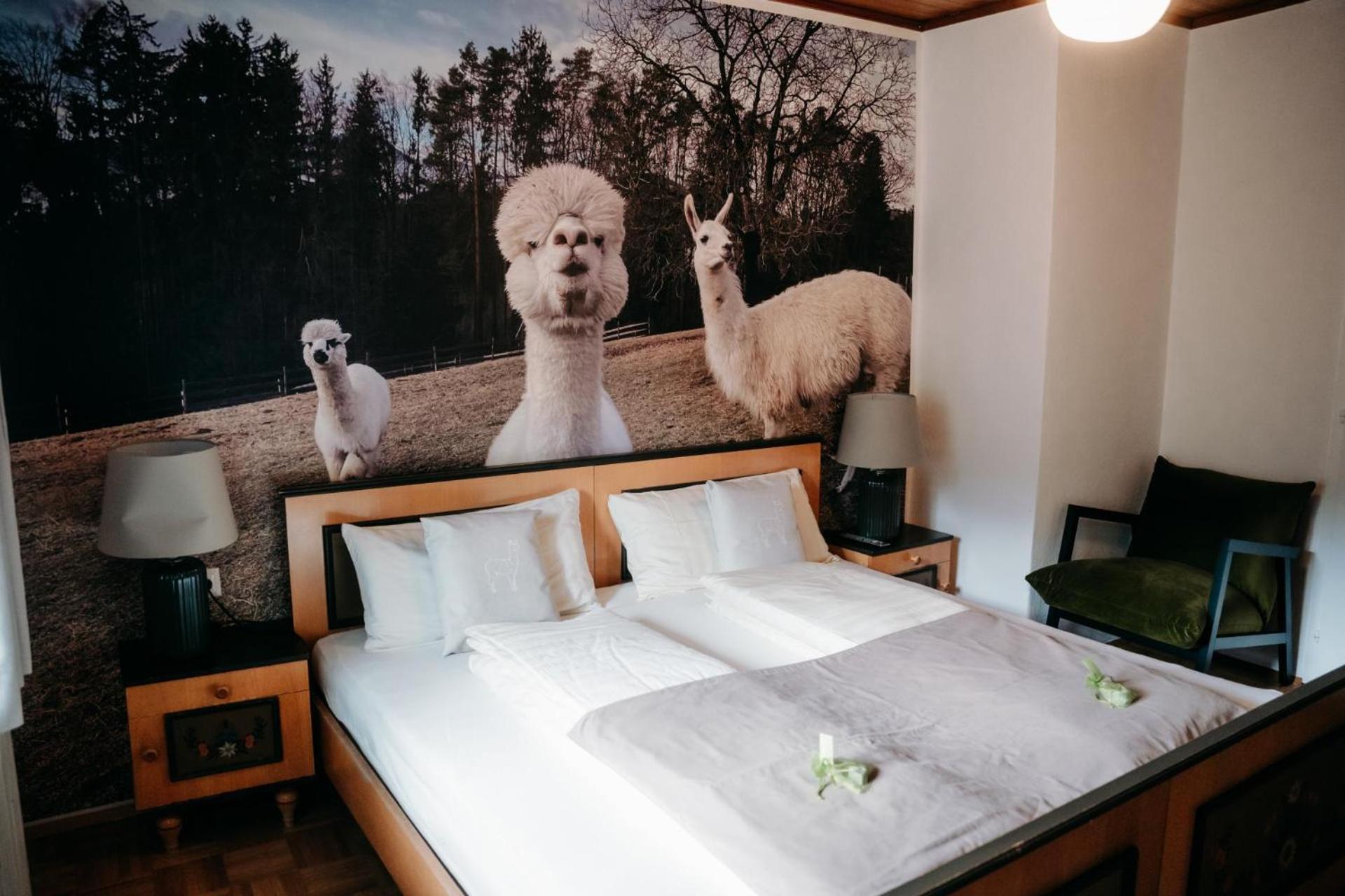Alpakas, Lamas Und Rentiere Zum Gruenen See Grossdorf  외부 사진