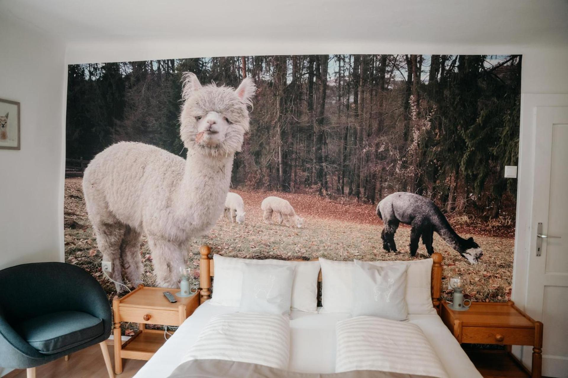 Alpakas, Lamas Und Rentiere Zum Gruenen See Grossdorf  외부 사진